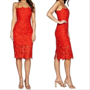 Bardot Fire Red Lace Sheath Midi Dress